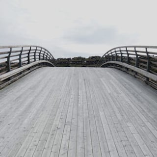 Meeting of the Minds: Bridging the CIO/CMO Gap